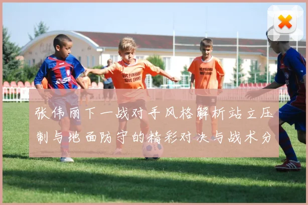 张伟丽下一战对手风格解析站立压制与地面防守的精彩对决与战术分析